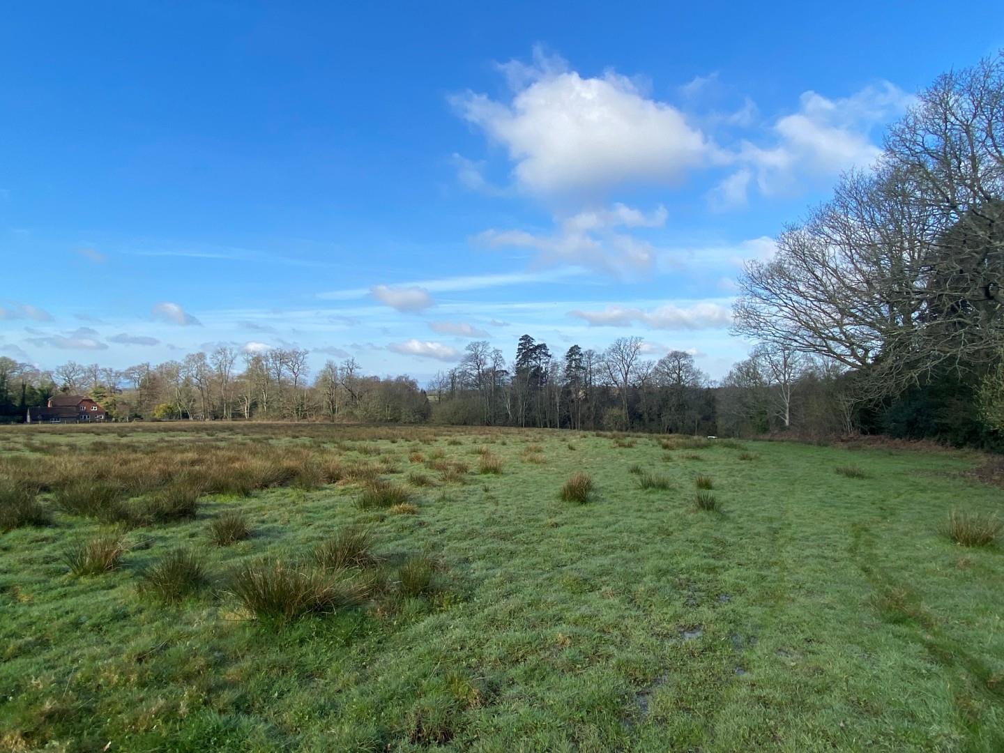 Warren Lane Cross In Hand Heathfield BTF Partnership Warren Lane Cross In Hand Heathfield BTF Partnership